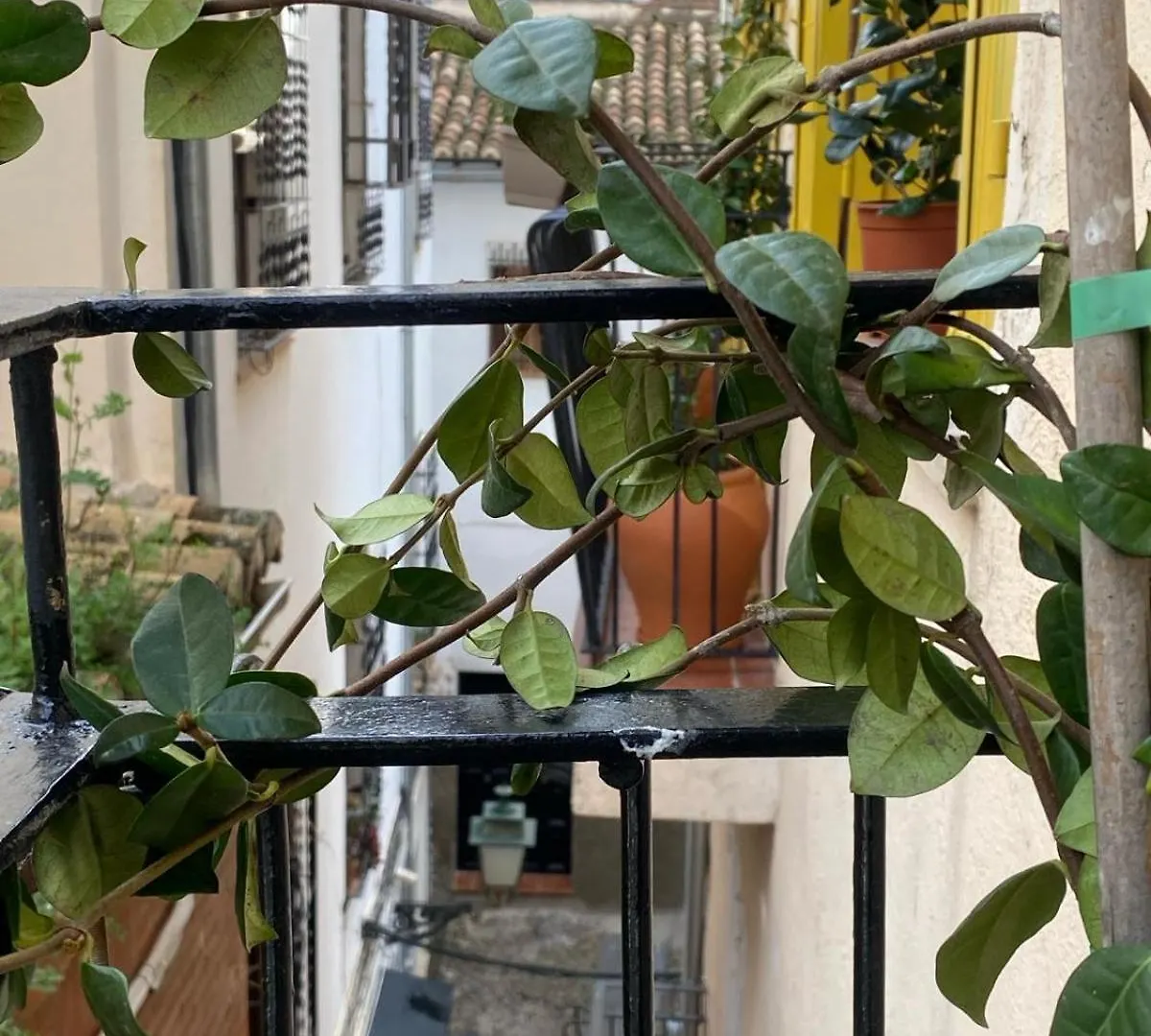 Apartamento Home Stagging New Life Granada