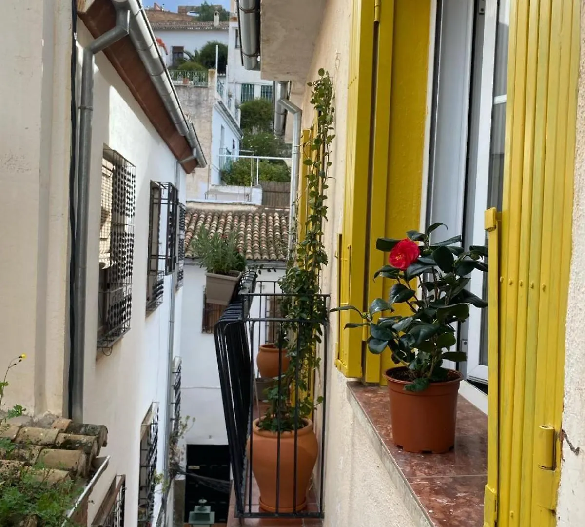 Apartamento Home Stagging New Life Granada